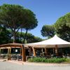 Ristorante all'aperto sotto pini.