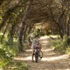 Ragazzi in bicicletta su un sentiero alberato.