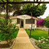 Giardino con vialetto e bungalow con ombrellone.