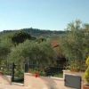 Vista del giardino con ulivi e colline sullo sfondo.