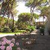 Giardino con tavoli e sedie in vimini, alberi e ortensie rosa.