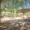 Hawaii Camping Internazionale (GR) Toscana