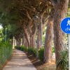 Hawaii Camping Internazionale (GR) Toscana