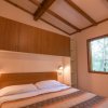 Hawaii Camping Internazionale (GR) Toscana