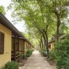 Hawaii Camping Internazionale (GR) Toscana