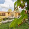 Hawaii Camping Internazionale (GR) Toscana