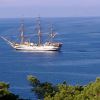 Velieri e barche a vela su un mare blu, con alberi in primo piano.