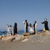 Persone in costumi teatrali neri e bianchi su una spiaggia rocciosa con il mare sullo sfondo.