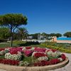Giardino con aiuola di fiori rossi e bianchi, alberi e sentiero curvo.
